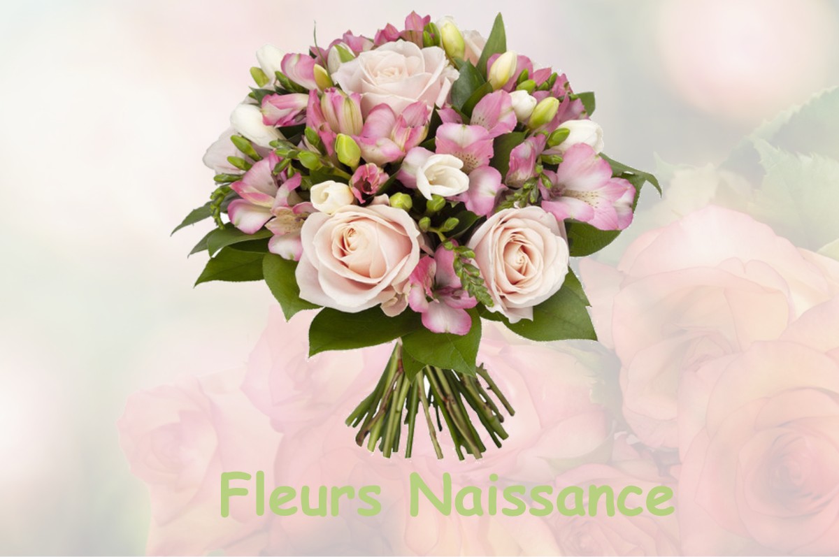 fleurs naissance BRACON