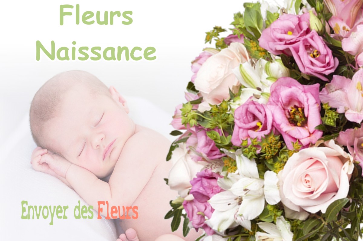 lIVRAISON FLEURS NAISSANCE à BRACON